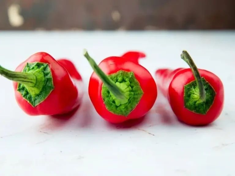 Five hottest peppers