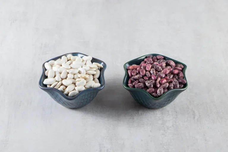 Exploring the Differences: A Guide to White Beans and Navy Beans - Discover culinary applications, textures, and nutritional insights to enhance your cooking.