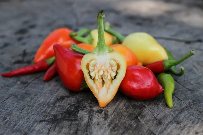 Five hottest peppers